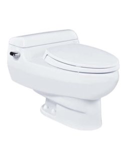 Bàn cầu 1 khối nắp êm TOTO MS436T2