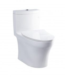 Bàn cầu 1 khối nắp êm TOTO MS889DT8