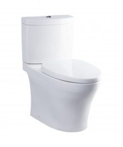 Bàn cầu 2 khối TOTO CS769DRT3 (CS769DT3)