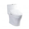 Bồn cầu Nắp điện tử Washlet Toto MS889DW4
