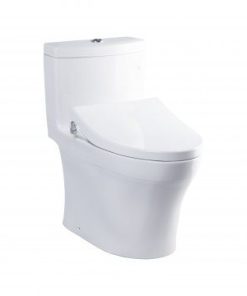 Bồn cầu Nắp rửa cơ Eco Washer Toto MS889DRE4