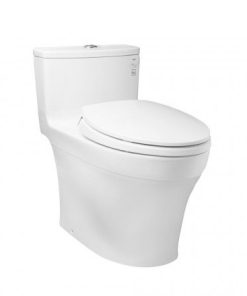 Bàn cầu 1 khối nắp êm TOTO MS885DT2
