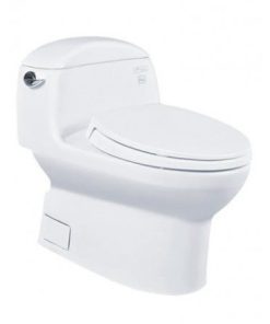 Bàn cầu 1 khối nắp êm TOTO MS914T2