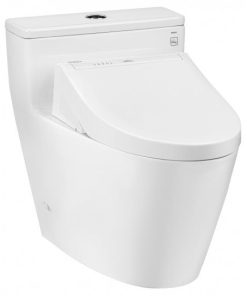 Bồn Cầu Điện Tử TOTO MS625CDW15