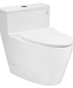 Bồn cầu 1 khối TOTO MS625DT8
