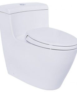 Bồn cầu 1 khối TOTO MS636DT2