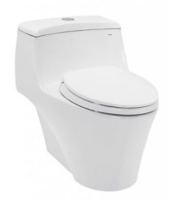 Bàn cầu 1 khối TOTO CW823RAT2