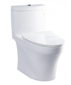 Bàn cầu 1 khối nắp êm TOTO MS889DRT8