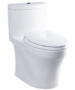 Bàn cầu 1 khối TOTO MS889DRT2