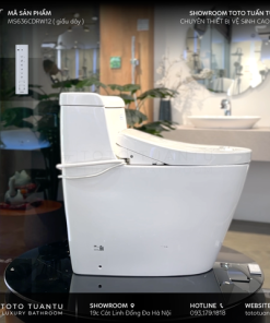 Bồn cầu nắp rửa điện tử MS636CDRW12 nắp Washlet TCF4911EZ